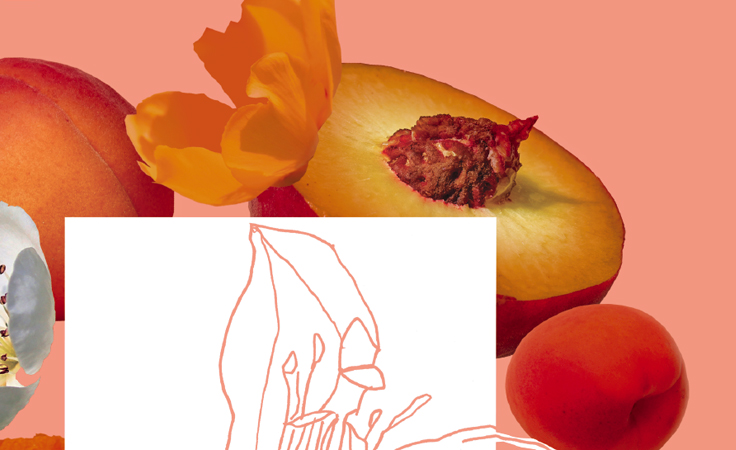 Dal Zotto Photo Montage