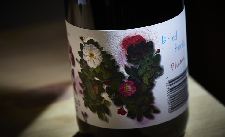 Dal Zotto L'Immigrante Nebbiolo N Detail