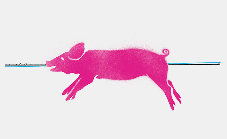 Dal Zotto Pig Stencil